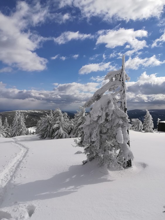 Náhled obrázku: IMG_20210322_145808.jpg