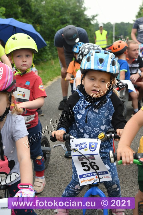 Náhled obrázku: 2021-1967-Zernov-56.JPG