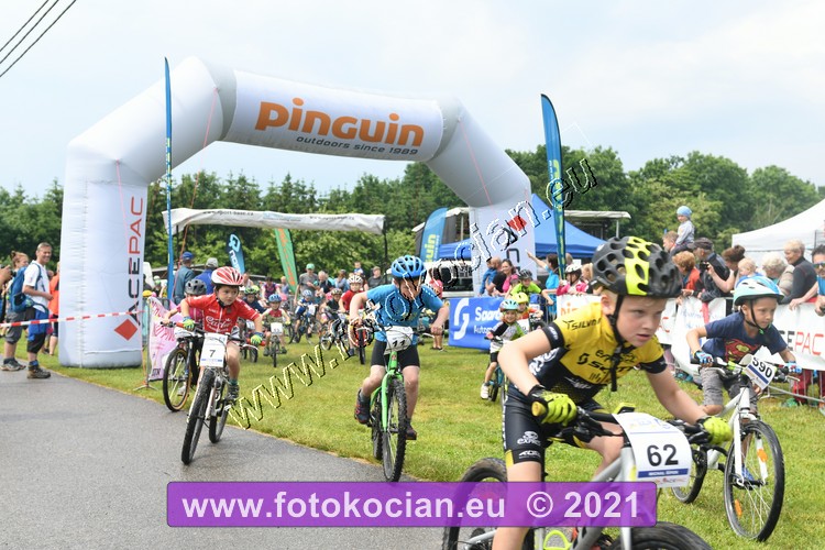 Náhled obrázku: 2021-2054-Zernov-590,62,11,7.JPG