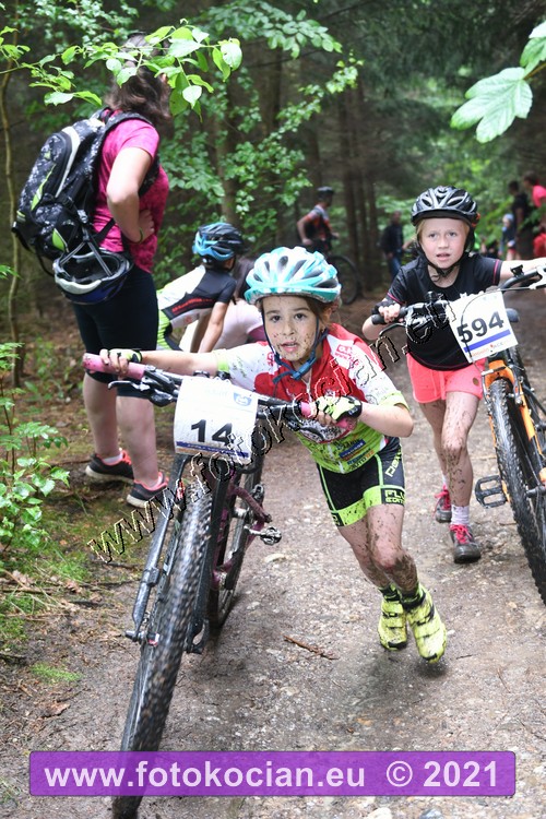 Náhled obrázku: 2021-2104-Zernov-14,594.JPG