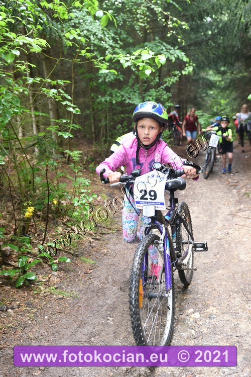 Náhled obrázku: 2021-2125-Zernov-29.JPG