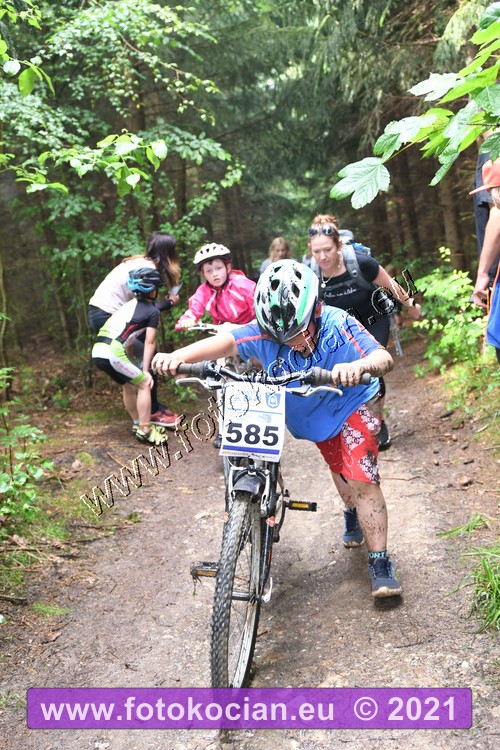 Náhled obrázku: 2021-2134-Zernov-585.JPG