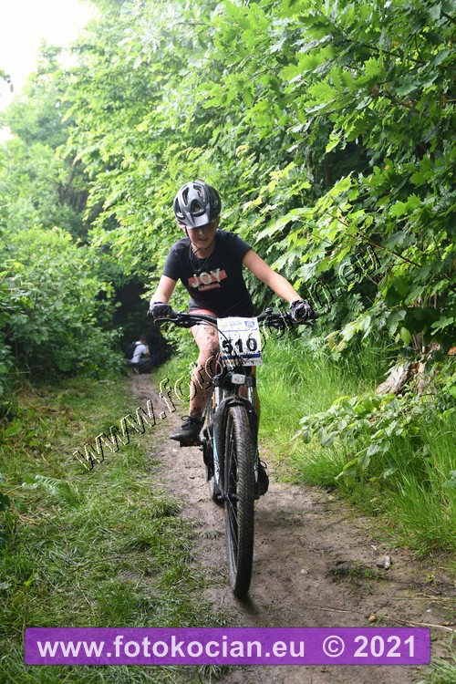 Náhled obrázku: 2021-2261-Zernov-510.JPG