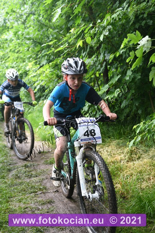 Náhled obrázku: 2021-2295-Zernov-48.JPG