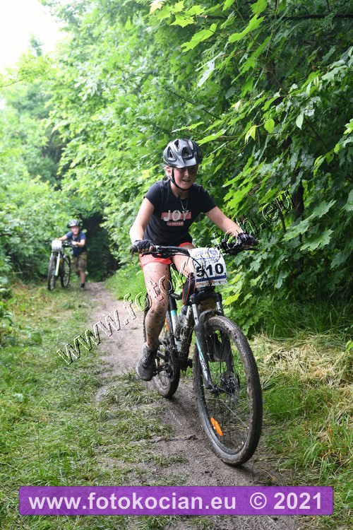 Náhled obrázku: 2021-2325-Zernov-510.JPG