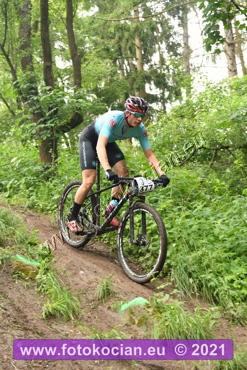 Náhled obrázku: 2021-1065-Zernov-377.JPG