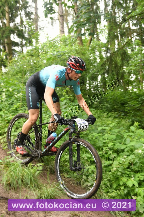 Náhled obrázku: 2021-1066-Zernov-377.JPG