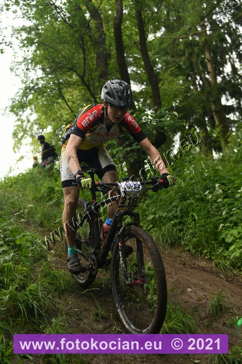 Náhled obrázku: 2021-1073-Zernov-219.JPG