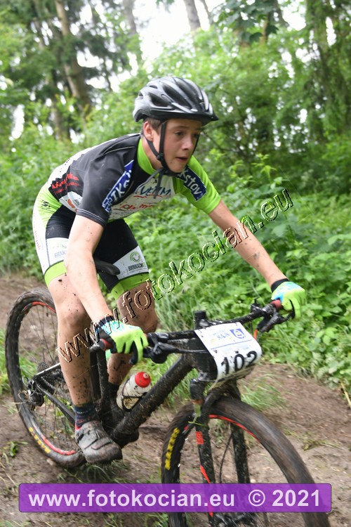 Náhled obrázku: 2021-1155-Zernov-102.JPG