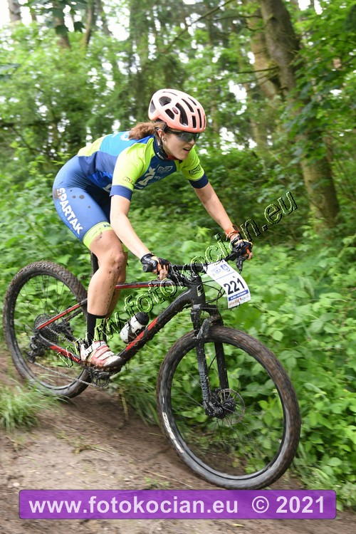 Náhled obrázku: 2021-1175-Zernov-221.JPG