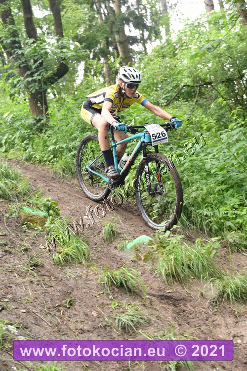 Náhled obrázku: 2021-1186-Zernov-526.JPG