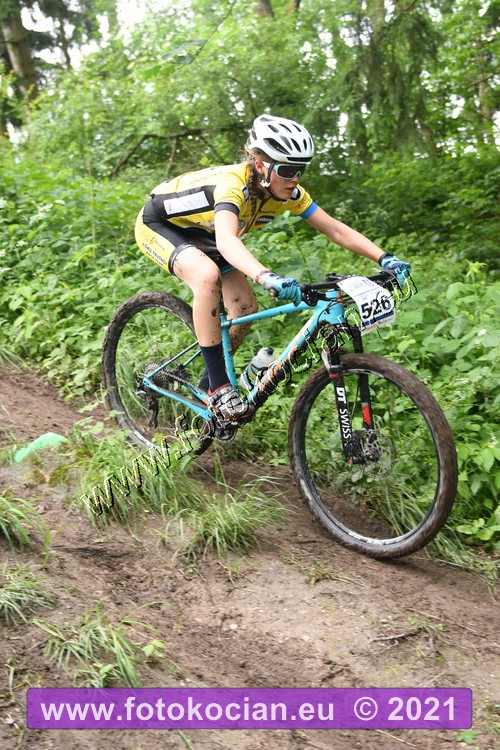 Náhled obrázku: 2021-1187-Zernov-526.JPG