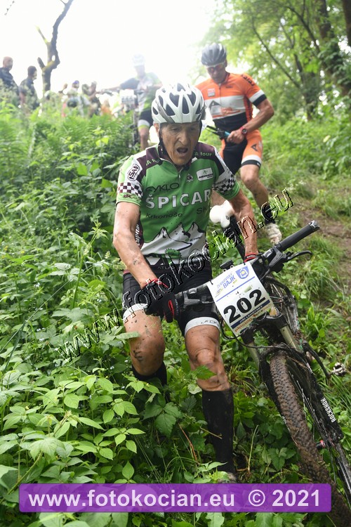 Náhled obrázku: 2021-1234-Zernov-202.JPG