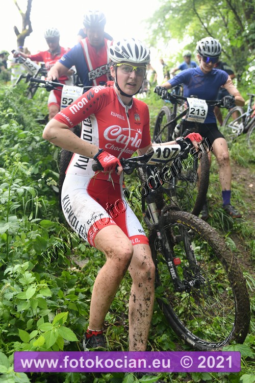 Náhled obrázku: 2021-1268-Zernov-107.JPG