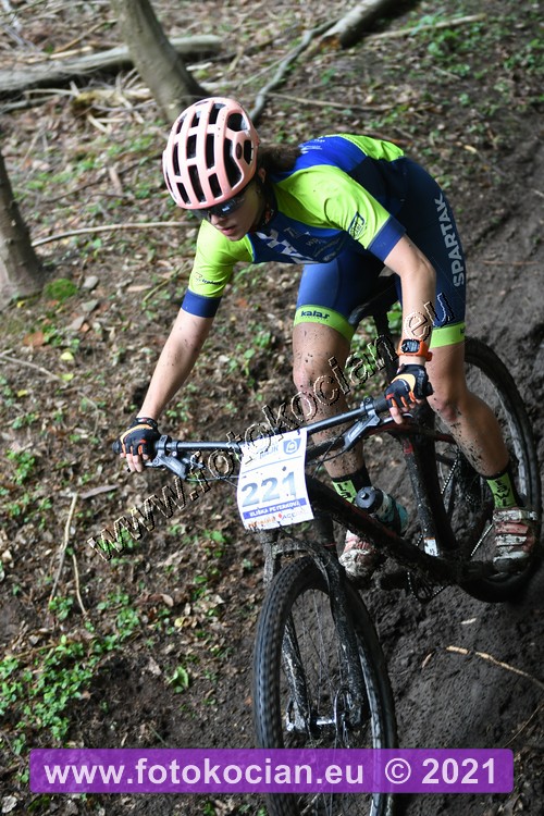 Náhled obrázku: 2021-1565-Zernov-221.JPG