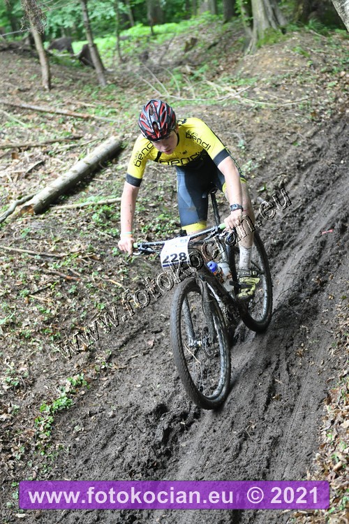 Náhled obrázku: 2021-1590-Zernov-228.JPG