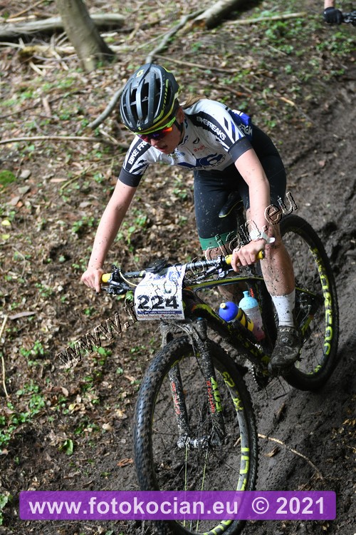 Náhled obrázku: 2021-1593-Zernov-224.JPG