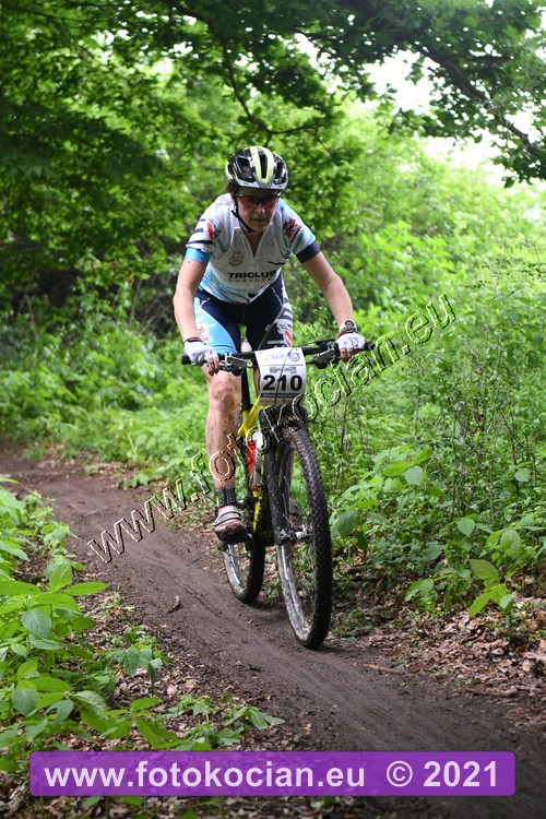 Náhled obrázku: 2021-1671-Zernov-210.JPG