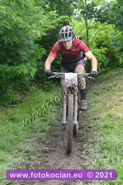 Náhled obrázku: 2021-1879-Zernov-340.JPG