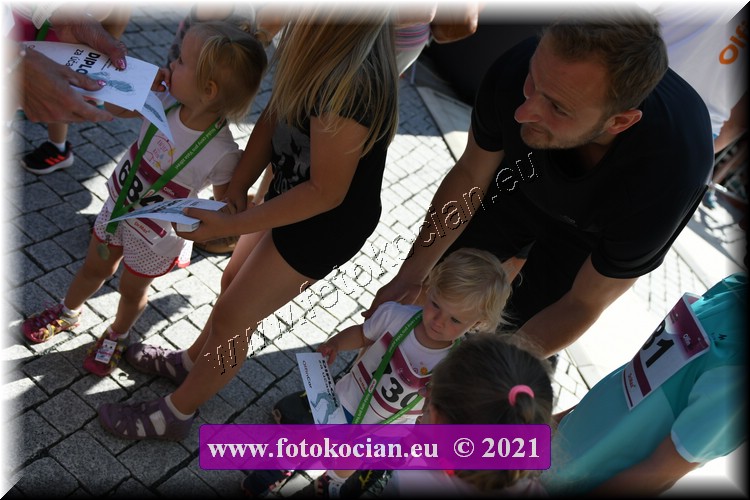 Náhled obrázku: 2021-2447-Trutnov-730,684.JPG