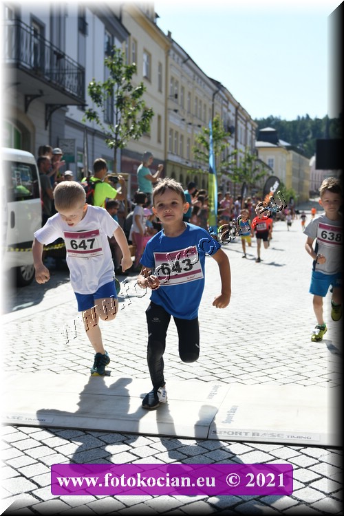 Náhled obrázku: 2021-2538-Trutnov-643,647.JPG