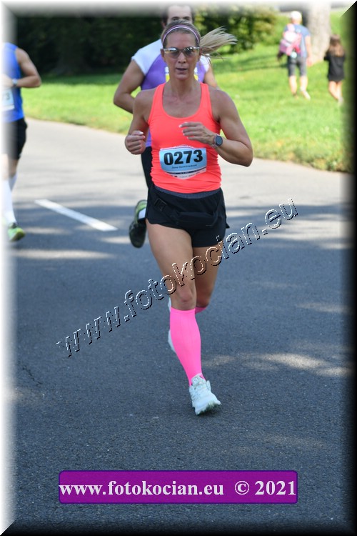 Náhled obrázku: 2021-2620-Zlin-273.JPG