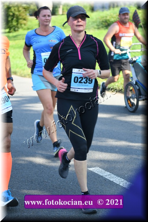 Náhled obrázku: 2021-2681-Zlin-239.JPG