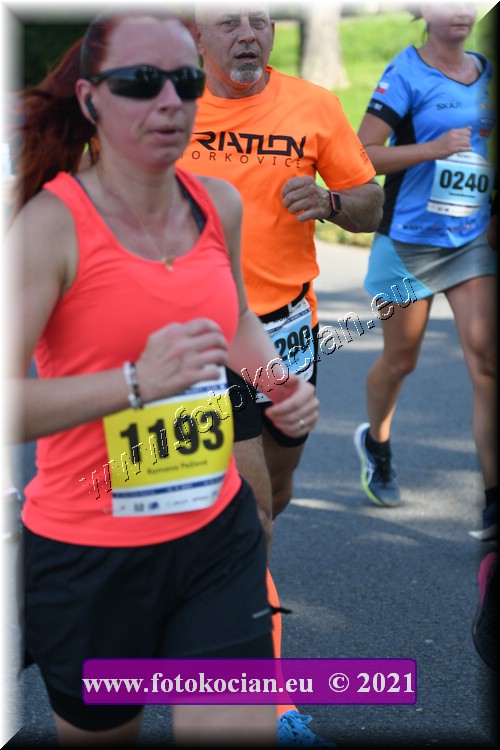 Náhled obrázku: 2021-2682-Zlin-290.JPG