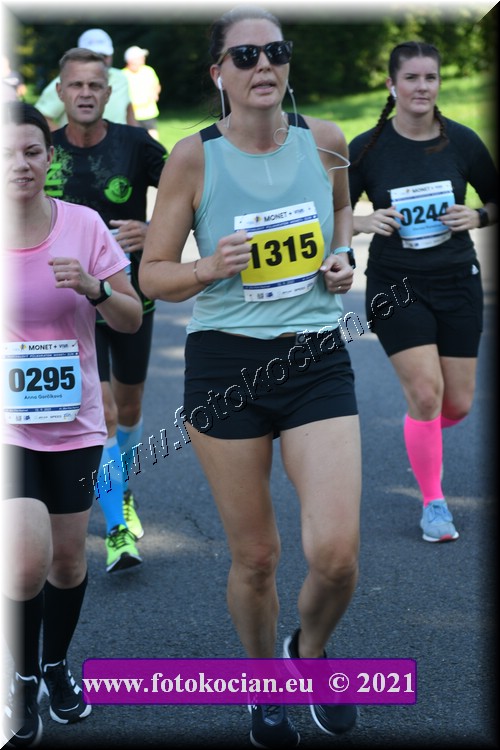 Náhled obrázku: 2021-2684-Zlin-1315,295.JPG