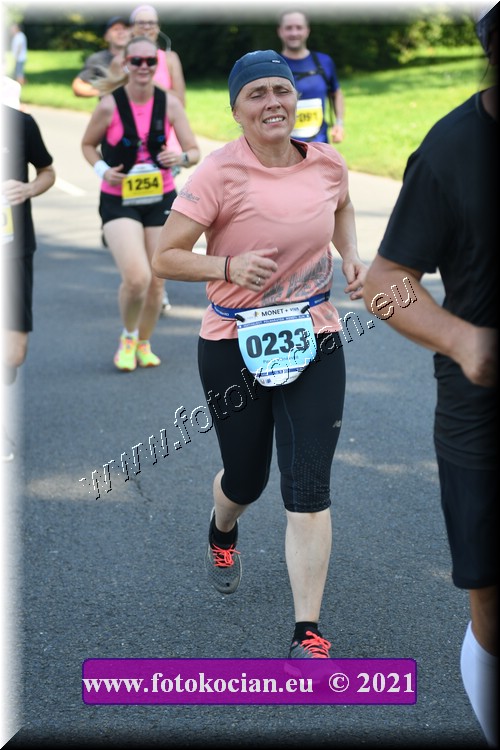 Náhled obrázku: 2021-2725-Zlin-233.JPG