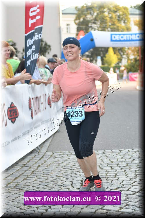 Náhled obrázku: 2021-2871-Zlin-233.JPG