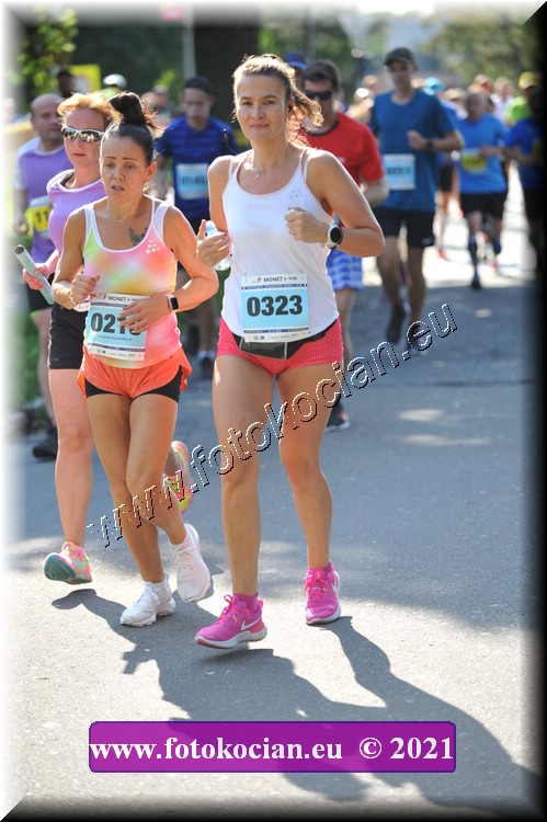 Náhled obrázku: 2021-3032-Zlin-323,216.JPG