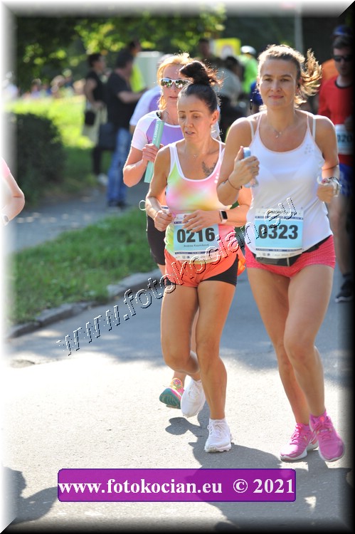 Náhled obrázku: 2021-3033-Zlin-323,216.JPG