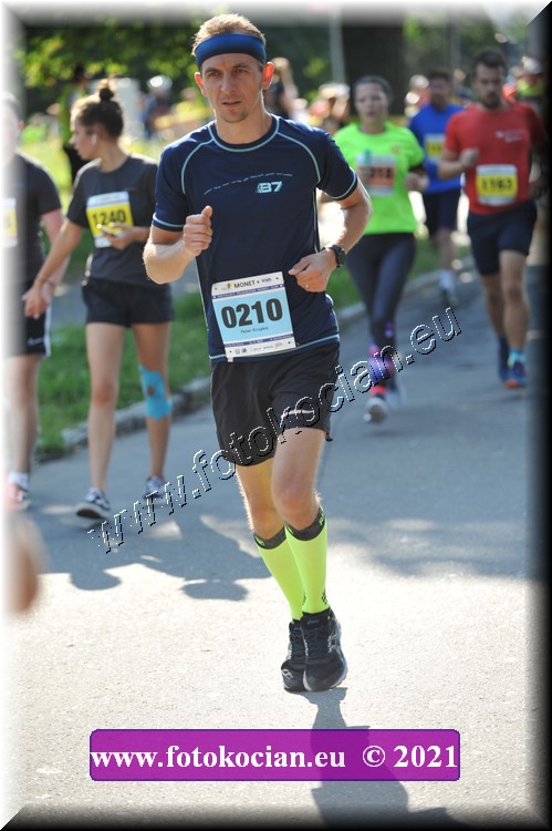 Náhled obrázku: 2021-3093-Zlin-210.JPG