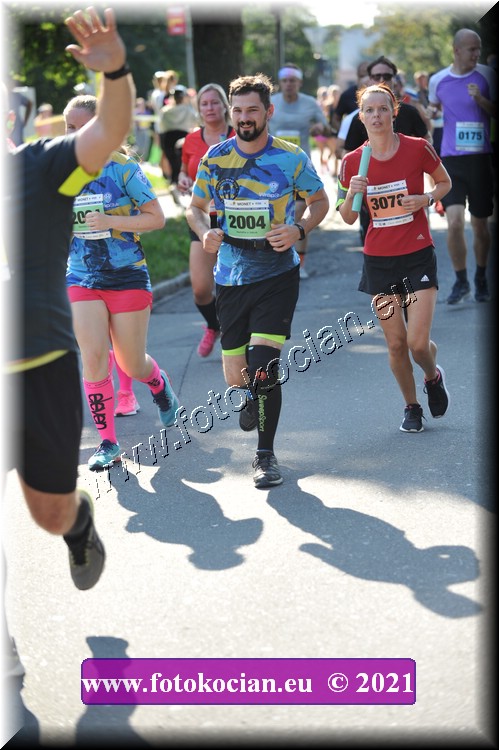 Náhled obrázku: 2021-3129-Zlin-2004,3078.JPG