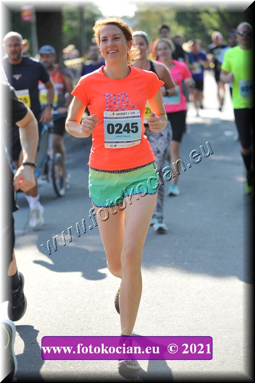 Náhled obrázku: 2021-3133-Zlin-245.JPG