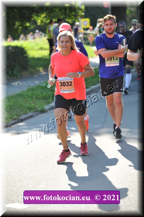 Náhled obrázku: 2021-3141-Zlin-3032,2013.JPG