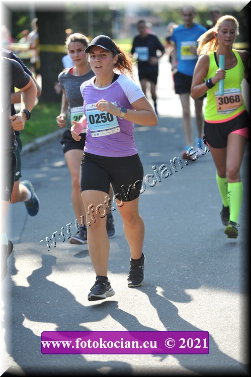 Náhled obrázku: 2021-3167-Zlin-250.JPG