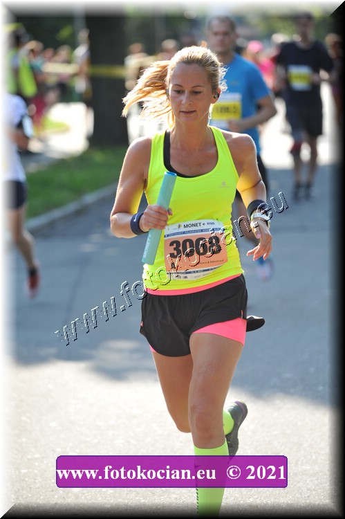 Náhled obrázku: 2021-3169-Zlin-3068.JPG