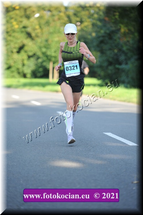 Náhled obrázku: 2021-3480-Zlin-321.JPG