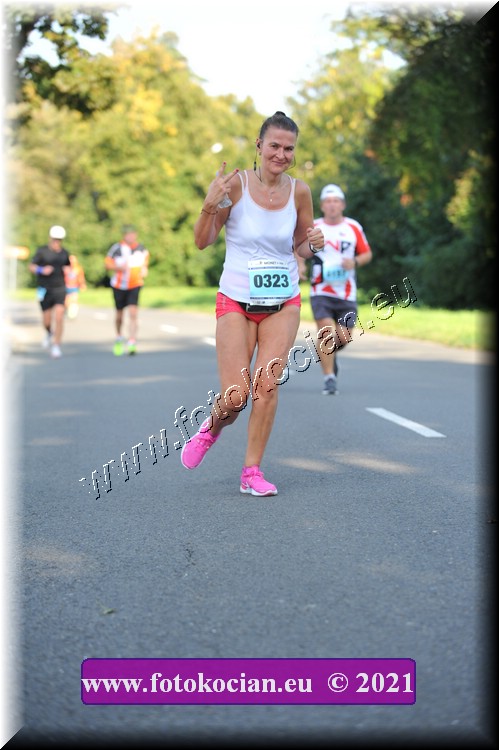 Náhled obrázku: 2021-3546-Zlin-323.JPG