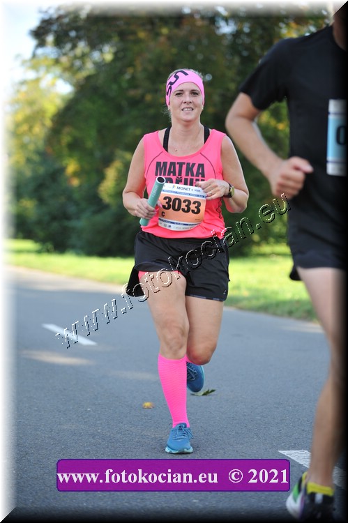 Náhled obrázku: 2021-3598-Zlin-3033.JPG