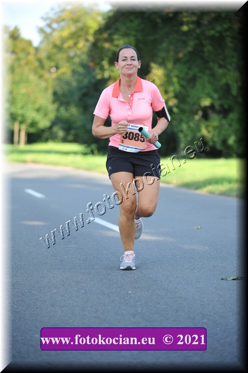 Náhled obrázku: 2021-3699-Zlin-3085.JPG