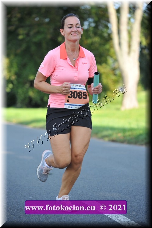 Náhled obrázku: 2021-3700-Zlin-3085.JPG