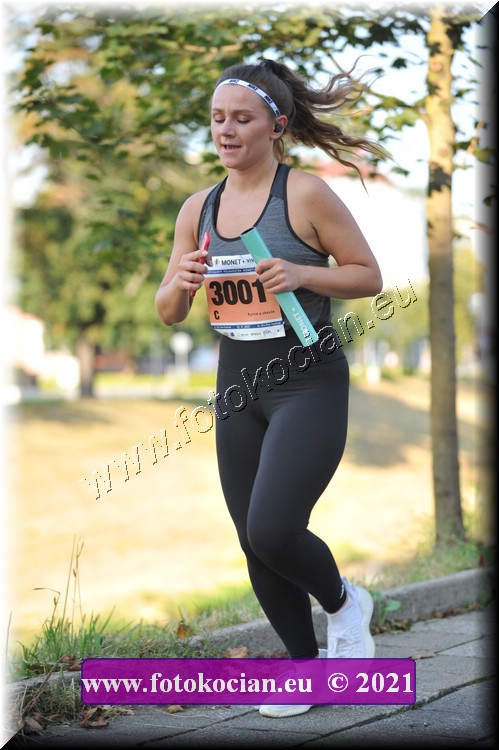 Náhled obrázku: 2021-3746-Zlin-3001.JPG