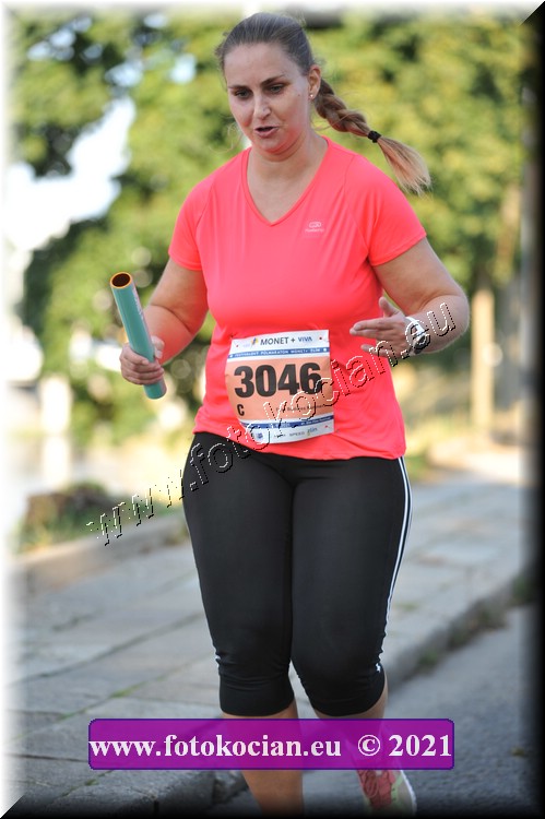 Náhled obrázku: 2021-3750-Zlin-3046.JPG