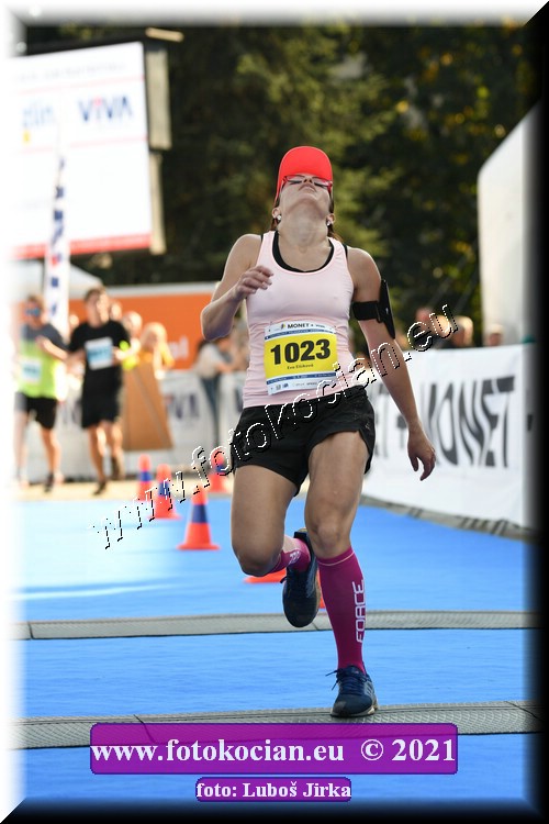 Náhled obrázku: 2021-1501-Zlin-1023.JPG