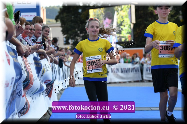 Náhled obrázku: 2021-1869-Zlin-3067.JPG