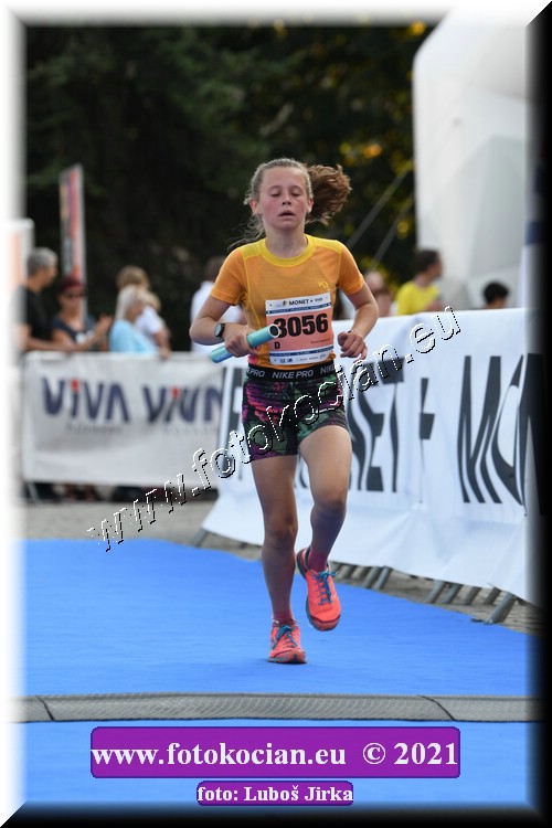 Náhled obrázku: 2021-2007-Zlin-3056.JPG