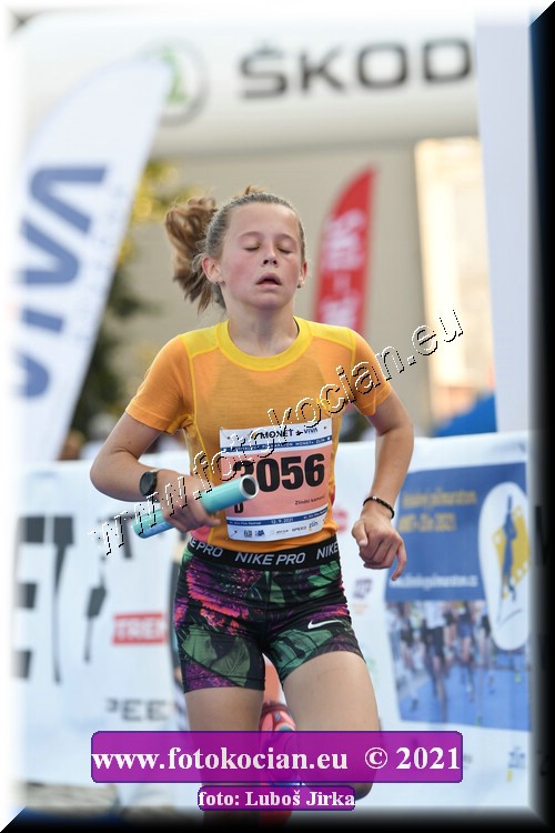 Náhled obrázku: 2021-2008-Zlin-3056.JPG